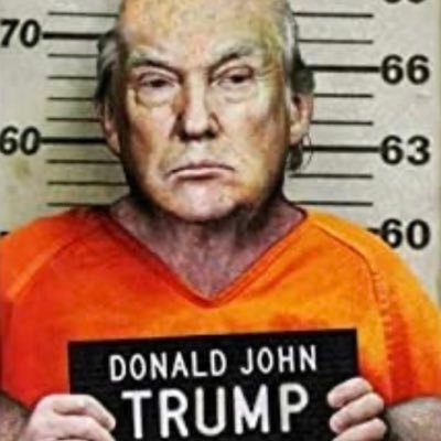 TRUMP4FEDPRISON Profile Picture