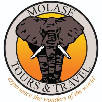 Official page for our Tourism and Travel company offering tailor made tours to suit your needs.
For more info, please visit https://t.co/Vr46NP4fr4