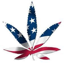 MMJTruth's profile picture. SPREAD TRUTH | STOP THE BAN