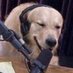ok (@ciuchas) Twitter profile photo ok (@ciuchas) Twitter profile photo