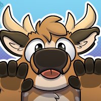 Seeker (@kogrrr) 's Twitter Profile
