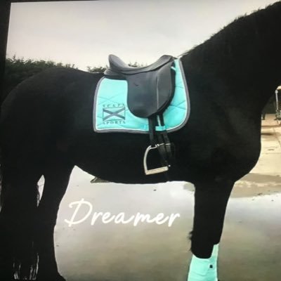 gamergi99905568's profile picture. Owner of Dreamer Club in Horse Vally Roblox