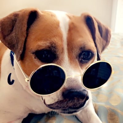 computerkid7's profile picture. 