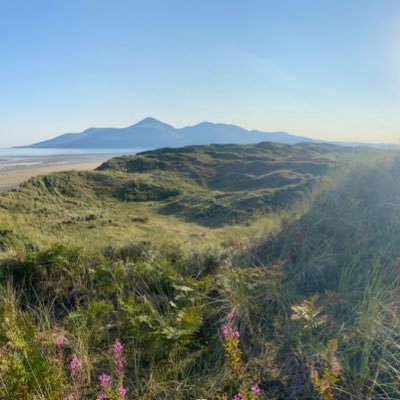 smcp's profile picture. 