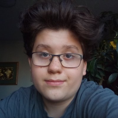 Militant du Bloc Québécois et du Parti Québécois, 15 ans. J'aime l'histoire.