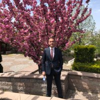 Anıl Doğan (@anldoan36846485) 's Twitter Profile