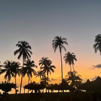 elialimum's profile picture. 