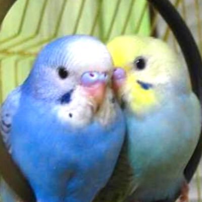 onoji617's profile picture. インスタからの転載ばかりですが、何となくやってます。 未だによく分かっていません^^;