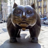 conancat (@conancat) 's Twitter Profile Photo conancat (@conancat) 's Twitter Profile Photo