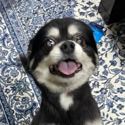 あゆみぴさんのプロフィール画像