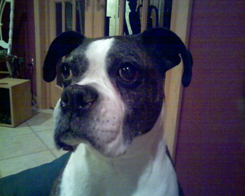 frank2570's profile picture. 