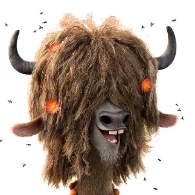 FoxWeirdo1's profile picture. 