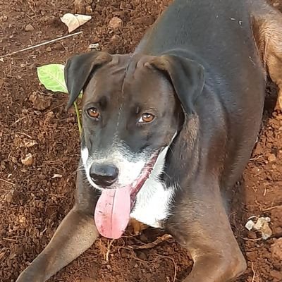 Ajkumar61's profile picture. 