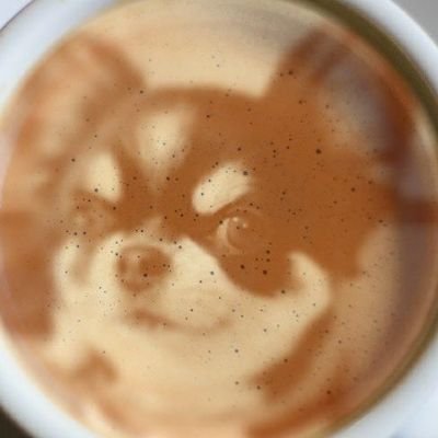 ツブ(男の子・5歳)との何気ない日常をツブやきます🍀よろしくお願いします😄🐶🎶
無言フォロー失礼します🙇♀️