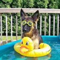 sudopools (@sudopools) 's Twitter Profile Photo sudopools (@sudopools) 's Twitter Profile Photo