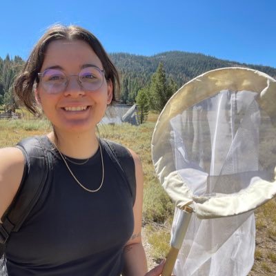 Entomology PhD Candidate at UC Davis 🌼 Studying bee-microbe interactions 🐝Texas Ex🤘🏻 She/her