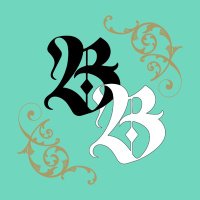 Brave Birth (@bravebirth) Twitter profile photo