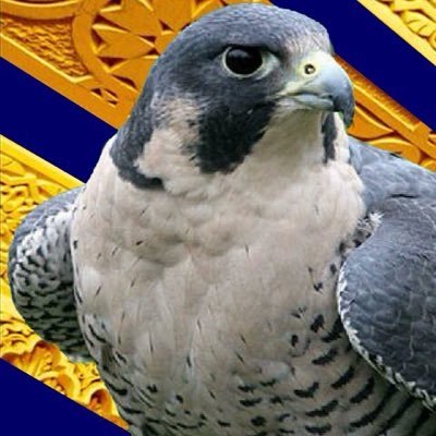 bu_Lateifa's profile picture. إن نعم الله سبحانه وتعالى على عباده لا تعدّ ولا تحصى .. ويمكن جمع مجموعة واسعة من هذه النعم بكلمة واحدة هي الأمن .. مؤلف #فن_الاستراتيجية ..