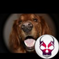 Crystal Hamaker (@crystalhamaker) 's Twitter Profile