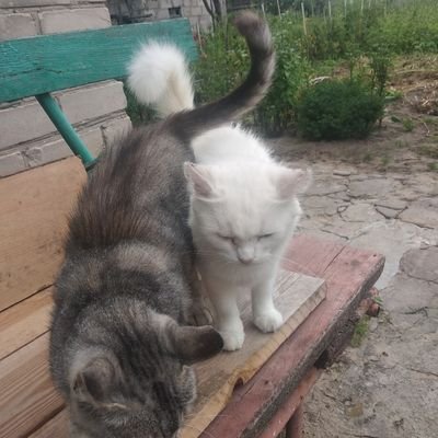 Iseejsjsbdb's profile picture. Я просто люблю кушать