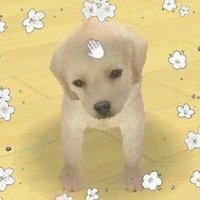 ⛈ (@jimamdaeru) 's Twitter Profile