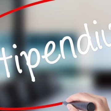 ibektillo's profile picture. 