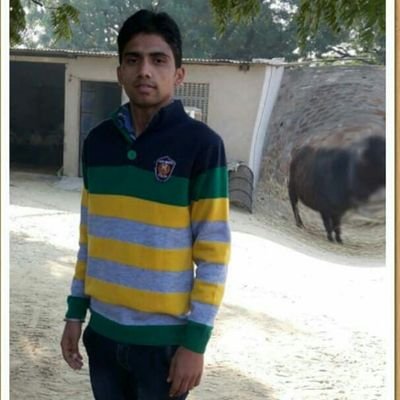 RakeshC78079093's profile picture. Special education (Hi)