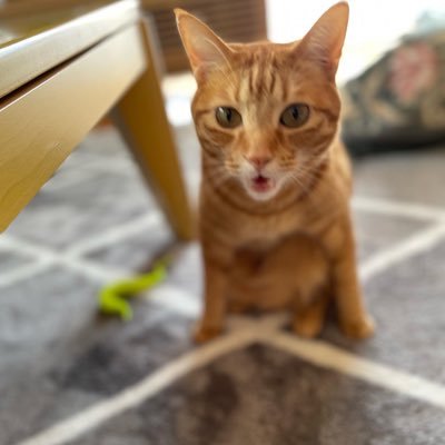 enOmPmA1LhJL2nS's profile picture. フリーランス経理と物販で生活していきたい40代オッサンです。ゲーム大好き。ドラクエ10やってます。  #佐賀県 #物販 #記帳代行 #フリーランス #ドラクエ10  ご依頼はLancersより：https://t.co/nY6Ptfcytr