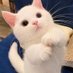✨nn💞🐱✨ (@cirawrrnciratk2) Twitter profile photo ✨nn💞🐱✨ (@cirawrrnciratk2) Twitter profile photo