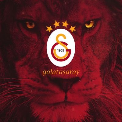 #kostarikaliaslanlar
GALATASARAY 💛♥️🦁