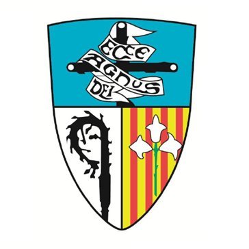 Perfil oficial del Bisbat de Lleida. Abans, al perfil @bisbatlleida