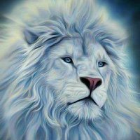 🍁🍃🌴🌼 भूपेन्द्र ️🏝️🌈🌷🍀 (@onlynatureplace) 's Twitter Profile Photo 🍁🍃🌴🌼 भूपेन्द्र ️🏝️🌈🌷🍀 (@onlynatureplace) 's Twitter Profile Photo