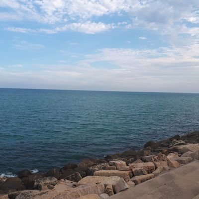 alonsordgz5's profile picture. Geógrafa 🗺️🧭