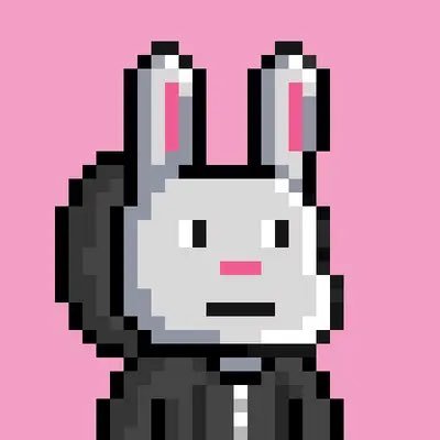 6,666 bunnies on the #Solana blockchain to take revenge and rise to the challenge of fate. Get more bunnies: https://t.co/bNB0x9RWr9