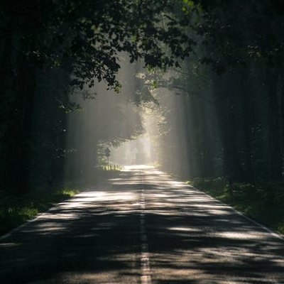 BatikaoC's profile picture. Quien lucha, puede perder; quien no lucha, ya ha perdido.