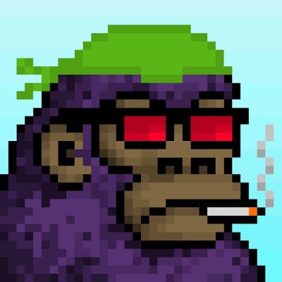 janinax01's profile picture. ❤️NFT