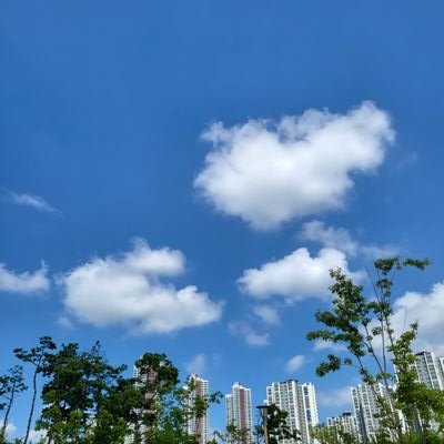 jbk1042's profile picture. 꿈꾸는....