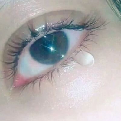 salahuddeen7869's profile picture. 🌹जैसे मेरे सरकार हैं बैसा नहीं कोई 🌹