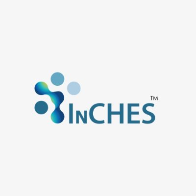 IntrospectInCH1's profile picture. Insurance support services.
