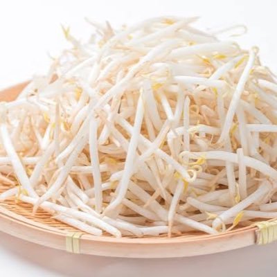 Illiliiilliill7's profile picture. ただツイートをみたいだけなんです！！！！！！！！信じてください！！！！！！フォローはしなくて大丈夫です！！！！！！