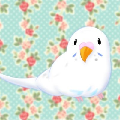 kopi 【まげつぶ村】さんのプロフィール画像