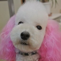 ymg7Bu6mjTWymOw's profile picture. 