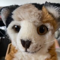 みけこ (@mikeko_0503) 's Twitter Profile
