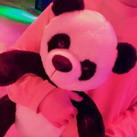 . (@_piump) 's Twitter Profile