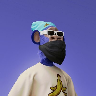 RajRaeen's profile picture. 🔗 Bitcoin Guy