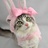 びっち (@hide_wish) 's Twitter Profile