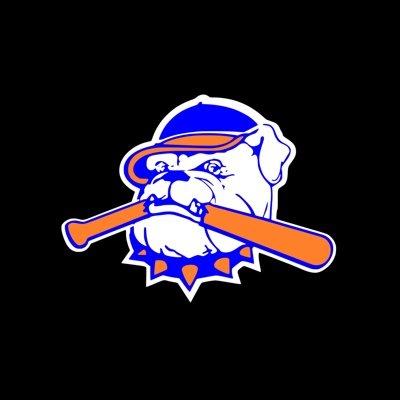 Motor City Baseball-Softball Academy has been the leader of youth baseball in the Midwest for 18 years. Recognized by PG as a top org in the Nation! 400➕commits