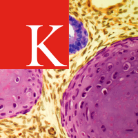 School of Cancer & Pharmaceutical Sciences(@KCLcancer_pharm) 's Twitter Profile Photo