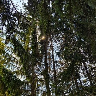 VitaliiProg85's profile picture. ...