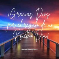 jimena (@jimena13202086) 's Twitter Profile